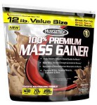 100% Premium MASS GAINER